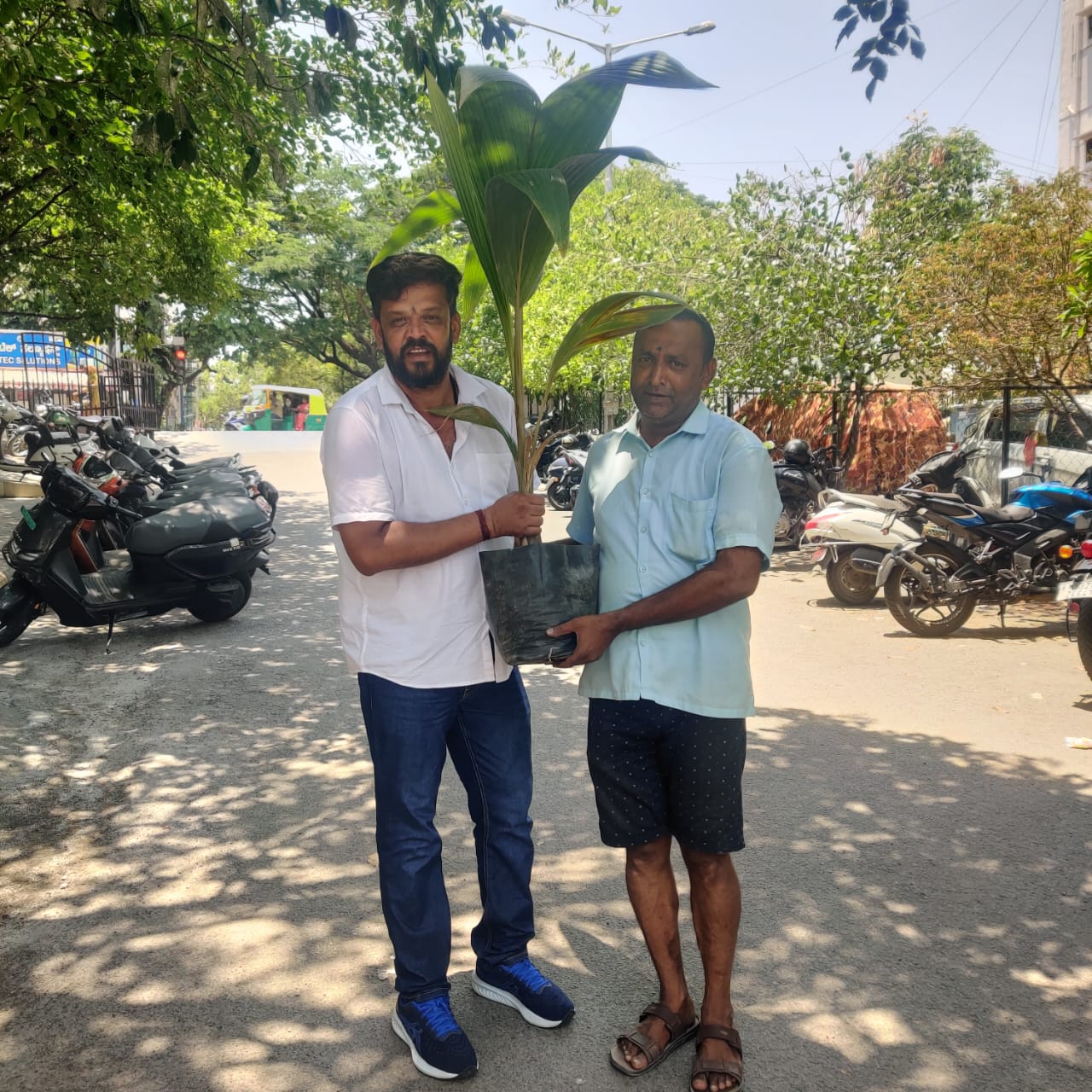 Sree Shanthveera School 2